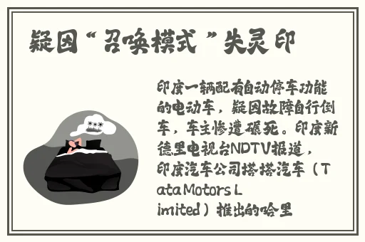 光棍天堂免费观看在线观看